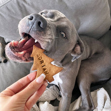 Load image into Gallery viewer, The Howli-day Pack