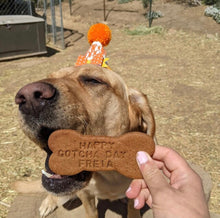 Load image into Gallery viewer, Love Enzo Custom Vegan Organic Dog Treats Gotcha Day Treats Birthday Treats 
