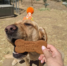 Load image into Gallery viewer, Love Enzo Custom Vegan Organic Dog Treats Gotcha Day Treats Birthday Treats