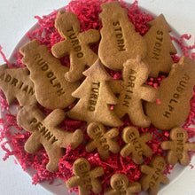 Load image into Gallery viewer, The Howli-day Pack