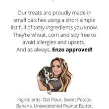 Load image into Gallery viewer, Love Enzo Dog Treats | Custom, Vegan, Organic. Sales Support Animal Rescue