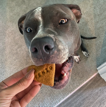 Load image into Gallery viewer, Love Enzo Dog Treats | Custom, Vegan, Organic. Sales Support Animal Rescue
